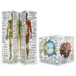 ZooBooKoo Human Body Cube - Paramedic Shop